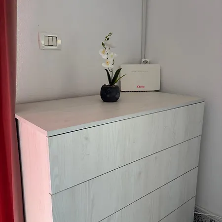 Colibri Durrës